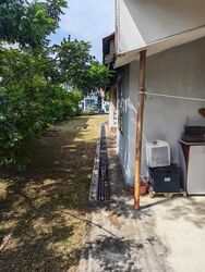 Frankel Estate (D15), Detached #549351081